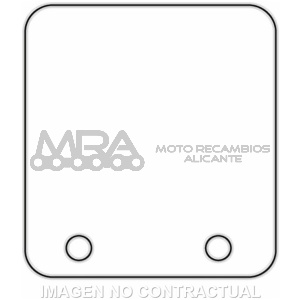 LAMINAS CARBONO PARA VL14 MHR 90º MINAR.  -2-