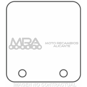 LAMINAS CARBONO PARA VL14 MHR 45º  MINARELLI  -2U