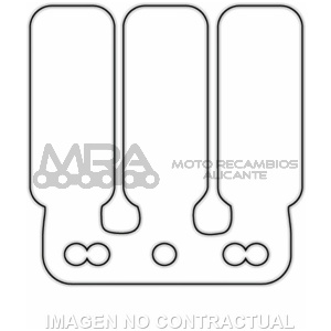 LAMINAS CARBONO CAJA ORIGINAL DERBI SENDA , GPR 50