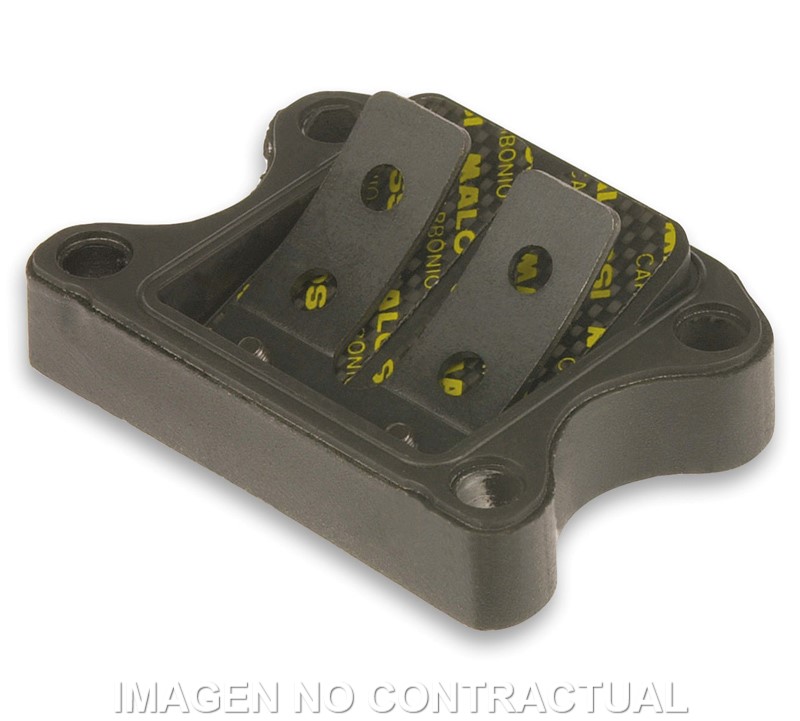 CAJA LAMINAS MALOSSI PEUGEOT BUXI, SPEEDAKE