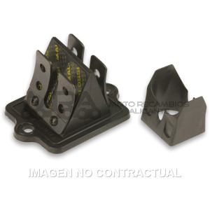 CAJA LAMINAS VL 11 CARBONO    PIAGGIO SKIPPER