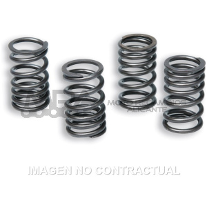 MUELLES PARA EMBRAGUE ORIGINAL MOTOR AM6  TZR 50