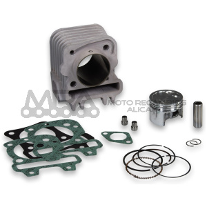 CILINDRO MALOSSI VESPA PRIMAVERA 3V IGET 50