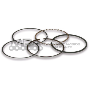 SEGMENTOS MALOSSI D.49 PIAGGIO LIBERTY 50 IGET
