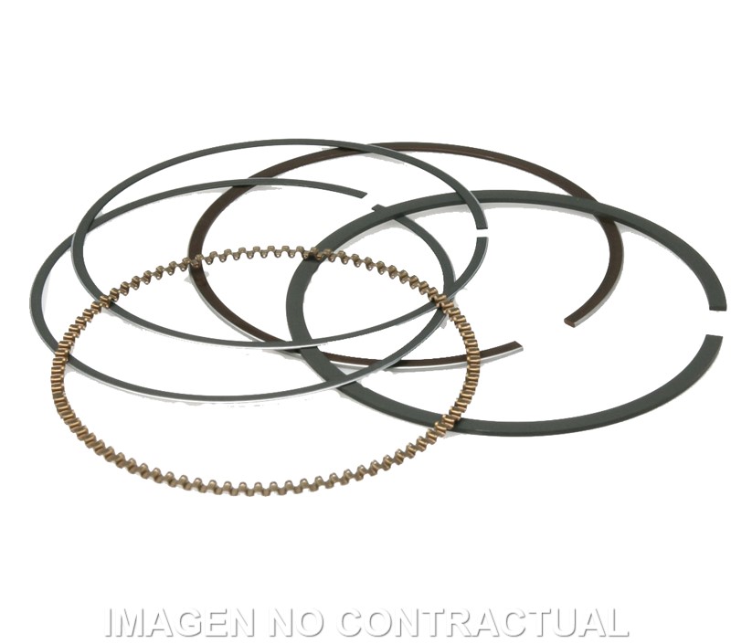 SEGMENTOS d. 74X1 mm MAJESTY 250, LEONARDO 250