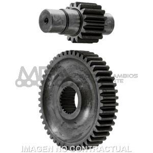 DESARROLLO SECUNDARIO 15/55   LIBERTY
