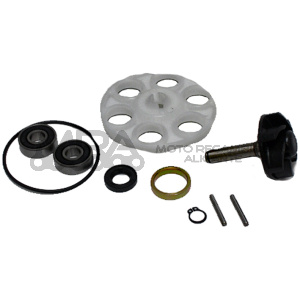KIT REPARACION BOMBA AGUA MINARELLI 50 COMPLETO