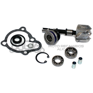KIT REPARACION BOMBA DE AGUA KYMCO B&W 250