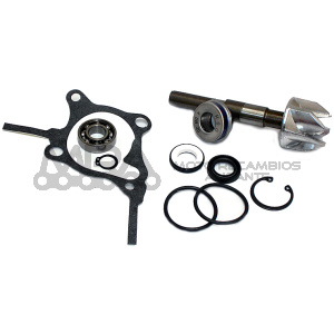 KIT REPARACION BOMBA DE AGUA HONDA FORESIGHT 250