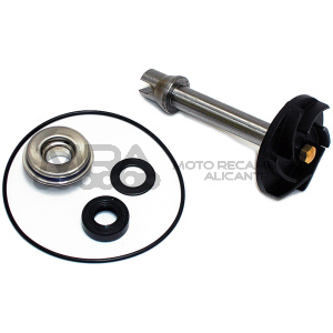 KIT REPARACION BOMBA DE AGUA PIAGGIO MP-3 500