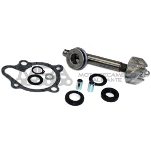 KIT REPARACION BOMBA DE AGUA KYMCO DINK 125/200