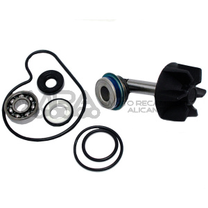 KIT REPARACION BOMBA DE AGUA SUZUKI BURGMAN 250