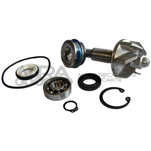 KIT REPARACION BOMBA DE AGUA HONDA PANTHEON (98/02
