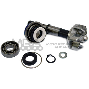 KIT REPARACION BOMBA DE AGUA DAELIM S3