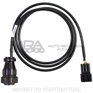 CABLE DIAGNOSIS TEXA BENELLI / DELPHI  (3151/AP54)