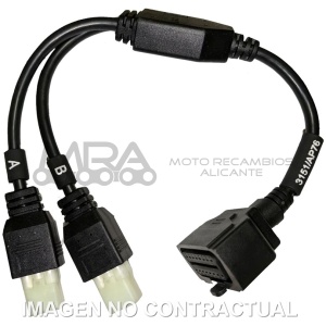 CABLE DIAGNOSIS TEXA BETAMOTOR (AP76)