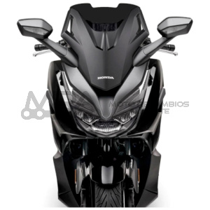 CUPULA MALOSSI SPORT SCREEN HONDA FORZA 125 E5