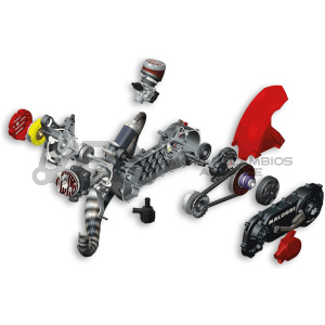 MOTOR MALOSSI COMPLETO RC-ONE MINARELLI 94 CC
