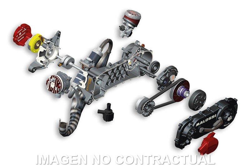 MOTOR MALOSSI C-ONE COMPLETO PIAGGIO ZIP 50
