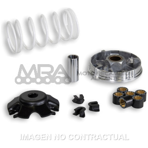 VARIADOR MALOSSI MULTIVAR HONDA SH 100, BALI 100