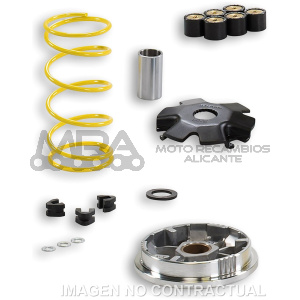 VARIADOR MULTIVAR SUZUKI ADDRESS 100