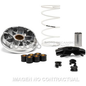 VARIADOR MALOSSI MULTIVAR RIEJU BYE BIKE ONE