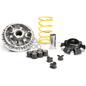 VARIADOR MALOSSI MULTIVAR SYM JOYMAX Z+ 300 IE E5