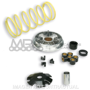 VARIADOR MALOSSI MULTIVAR VESPA ZIP 50