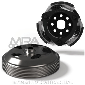 MAXI DELTA SYSTEM MALOSSI VESPA PRIMAVERA IGET 125