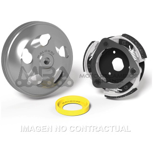 MAXI FLY SYSTEM MALOSSI HONDA FORZA 125 ABS
