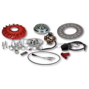 ENCENDIDO MALOSSI VESPOWER VESPA PX125 (ARR.ELEC)