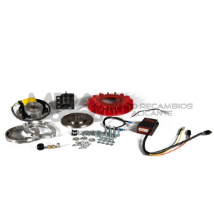 ENCENDIDO ROTOR INTERNO MALOSSI MHR TEAM II VESPA