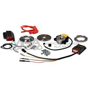 ENCENDIDO ROTOR INTERNO MALOSSI MHR TEAM II PIAGGO