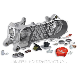 CARTER MOTOR COMPLETO MALOSSI RC-ONE PIAGGIO 50