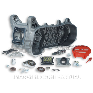CARTER MALOSSI COMPLETO C-ONE MOTOR MINARELLI 50