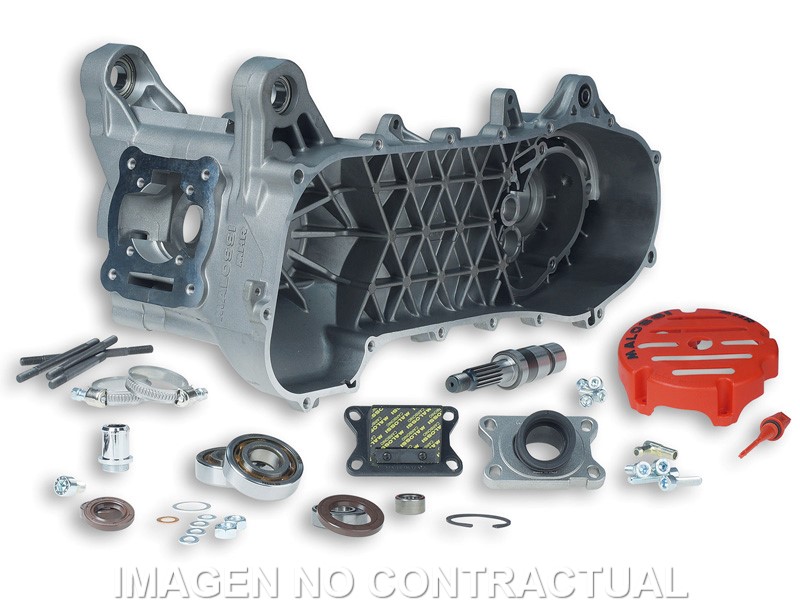 CARTER MALOSSI COMPLETO C-ONE MOTOR MINARELLI 50