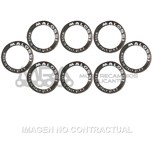 RODILLOS MALOSSI HTROLL D.25 x 17 14 g