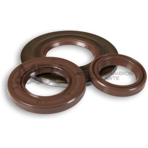 RETENES MALOSSI FKM VESPA COSA, PX, T5