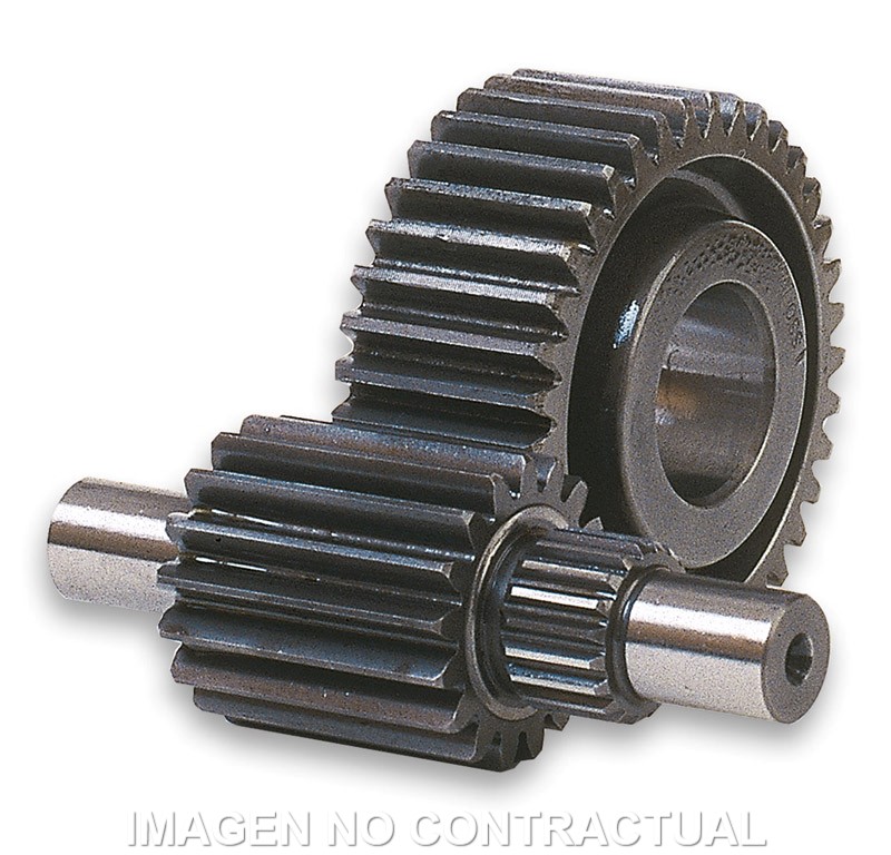 DESARROLLO SECUNDARIO.14/43 MAJESTY 125