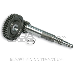 DESARROLLO MALOSSI PRIMARIO LARGO ZIP SP 2000
