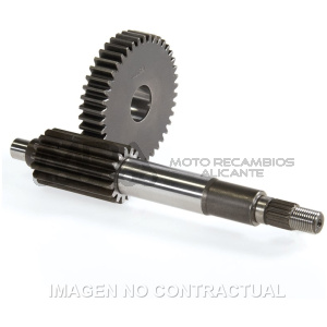 DESARROLLO LARGO AEROX 100, NEOS 100  15/42