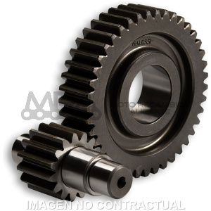 DESARROLLO SECUNDARIO HTQ 15/41 MOTOR LEADER