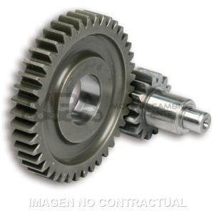 DESARROLLO SECUNDARIO MOTOR MINARELLI 50