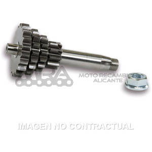 ENGRANAJE C/CAMBIO MULTIPLE VESPA PRIMAVERA 125