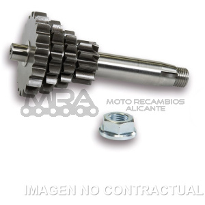 ENGRANAJE C/ CAMBIO MULTIPLE VESPA PRIMAVERA 125