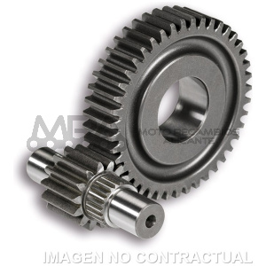 DESARROLLO SECUNDARIO MALOSSI VESPA GTS 125