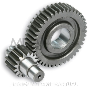 DESARROLLO SEC. LARGO C/JAULA D.17mm ZIP FAST RIDR
