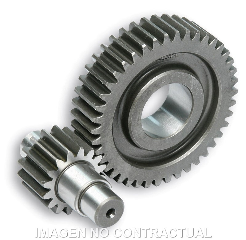 DESARROLLO SEC. LARGO C/JAULA D.17mm ZIP FAST RIDR