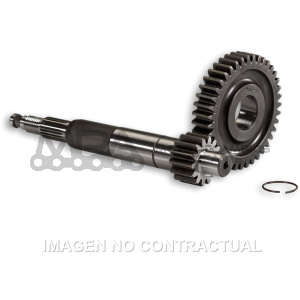 DESARROLLO PRIMARIO LARGO GILERA RUNNER