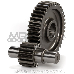 DESARROLLO SECUNDARIO RUNNER  125